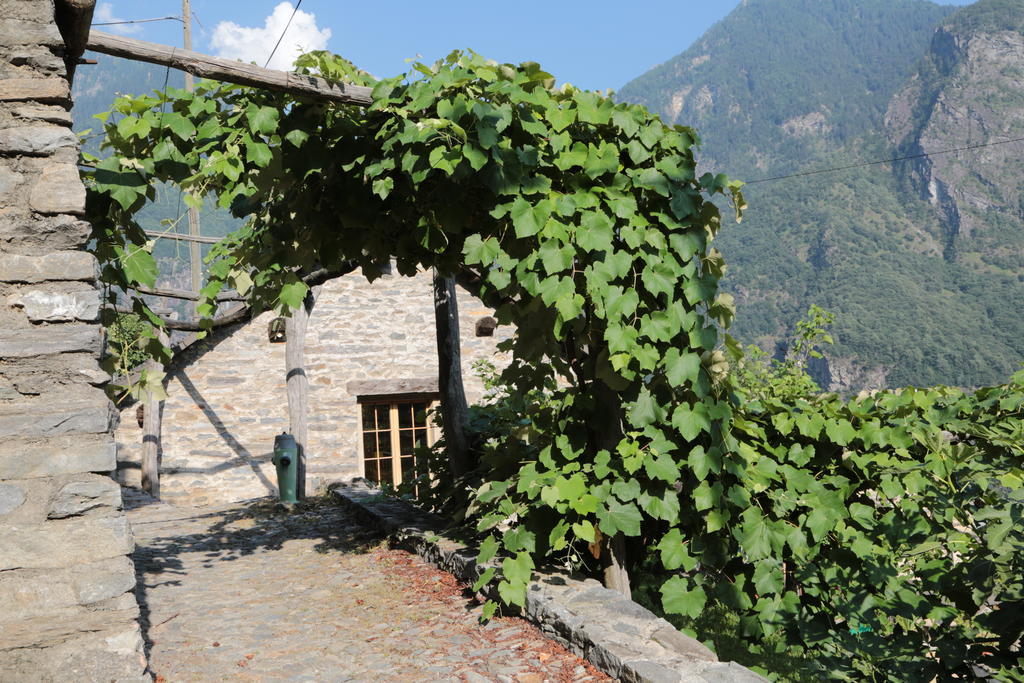Rustico Apartment Verdabbio Bagian luar foto